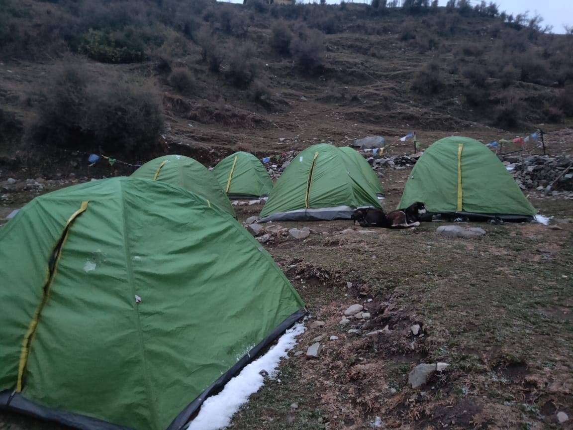 Trekking and Camping in Bir Billing